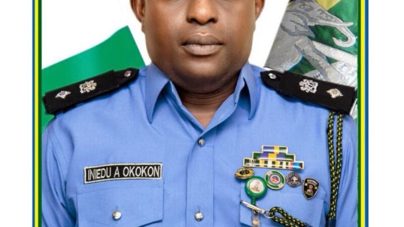 Nigeria Police Appoints New Force PRO