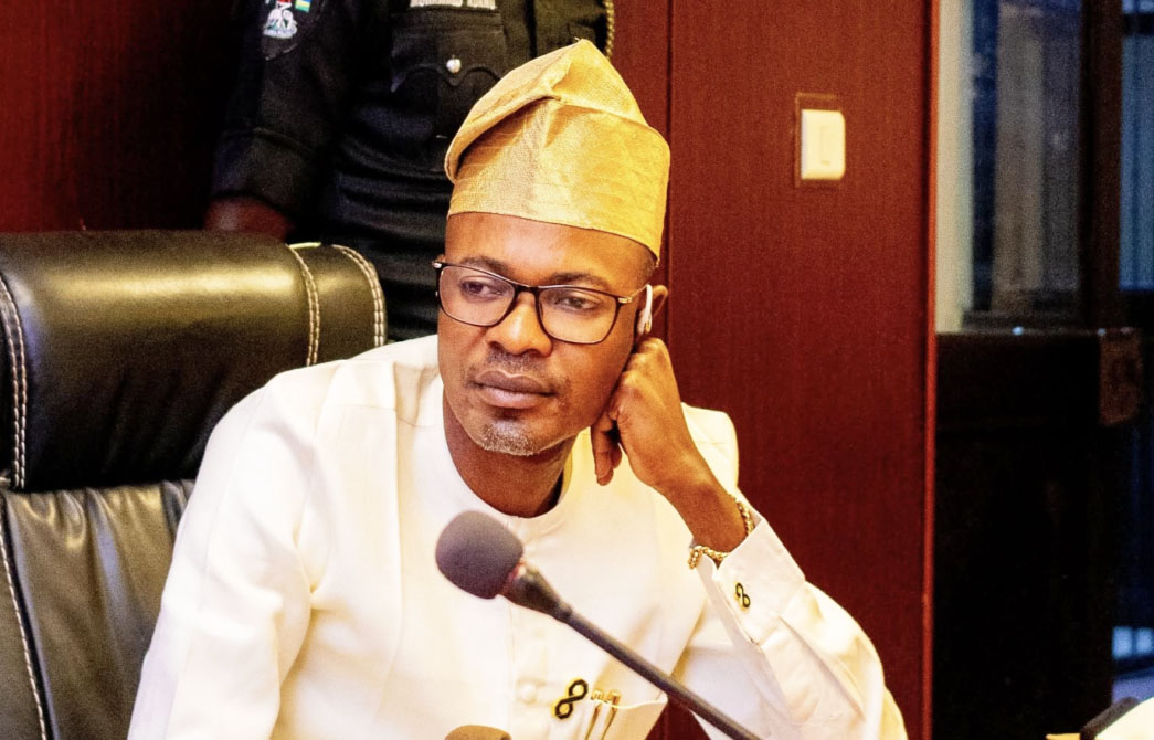 Reps Give IGP 48hrs To Produce ‘Fake’ Agency DG Adeyemi