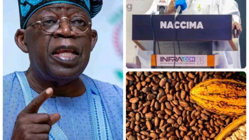 NACCIMA President Hails Tinubu’s Raw Cocoa Export Ban, Says Policy Will Drive Industrialisation  The National President of the Nigerian Association of Chambers of Commerce, Industry, Mines and Agriculture (NACCIMA), Engr. Jani Ibrahim, mni, OON, has commended President Bola Ahmed Tinubu, GCFR, for the policy direction to halt the export of raw cocoa beans in favour of local processing and value addition.  In a statement issued by the National Public Relations Officer of NACCIMA, Mrs Madinat Adigun-Oladotun, Engineer Ibrahim described the move as a timely and strategic intervention that aligns with NACCIMA’s long-standing advocacy for value addition, industrialisation, and the development of competitive local industries capable of creating jobs, increasing export earnings, and strengthening Nigeria’s economy.  According to the National President, Nigeria can no longer afford to remain primarily an exporter of raw agricultural commodities while other countries reap the greater economic benefits of processing and manufacturing finished products.  “The decision to prioritise local cocoa processing represents a significant step towards transforming Nigeria’s agricultural value chain. Beyond increasing foreign exchange earnings, it will stimulate investments in processing facilities, create thousands of direct and indirect jobs, encourage technology transfer, and enhance the global competitiveness of Nigerian cocoa products,” Engineer Ibrahim said.  He added that the policy has the potential to catalyse growth across the manufacturing and agro-processing sectors while strengthening linkages between farmers, processors, exporters, and other players in the cocoa value chain.  He, however, stressed that the success of the initiative would depend on the provision of an enabling business environment, including reliable power supply, improved transport infrastructure, affordable financing, policy consistency, and incentives that encourage private sector investment in cocoa processing and value addition.  Engr. Ibrahim said it was why NACCIMA, under his leadership, championed the Nigeria Infrastructure Conference (INFRACON), which held a few days ago, to mobilise private sector capital in addressing Nigeria’s infrastructure deficits.  The National President reaffirmed NACCIMA’s commitment to working closely with the Federal Government and relevant stakeholders to ensure the successful implementation of the policy and to unlock the full economic potential of Nigeria’s cocoa industry for sustainable national development
