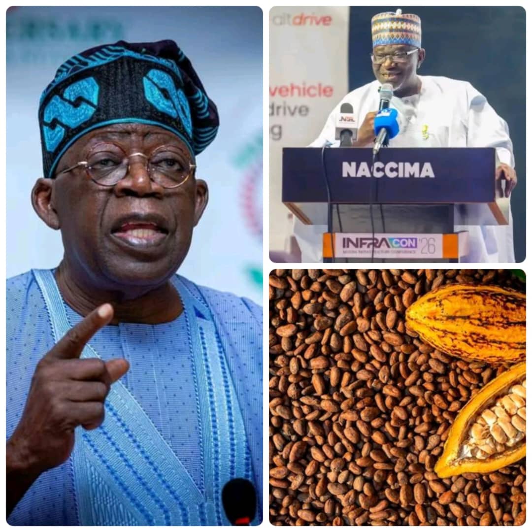NACCIMA President Hails Tinubu’s Raw Cocoa Export Ban, Says Policy Will Drive Industrialisation  The National President of the Nigerian Association of Chambers of Commerce, Industry, Mines and Agriculture (NACCIMA), Engr. Jani Ibrahim, mni, OON, has commended President Bola Ahmed Tinubu, GCFR, for the policy direction to halt the export of raw cocoa beans in favour of local processing and value addition.  In a statement issued by the National Public Relations Officer of NACCIMA, Mrs Madinat Adigun-Oladotun, Engineer Ibrahim described the move as a timely and strategic intervention that aligns with NACCIMA’s long-standing advocacy for value addition, industrialisation, and the development of competitive local industries capable of creating jobs, increasing export earnings, and strengthening Nigeria’s economy.  According to the National President, Nigeria can no longer afford to remain primarily an exporter of raw agricultural commodities while other countries reap the greater economic benefits of processing and manufacturing finished products.  “The decision to prioritise local cocoa processing represents a significant step towards transforming Nigeria’s agricultural value chain. Beyond increasing foreign exchange earnings, it will stimulate investments in processing facilities, create thousands of direct and indirect jobs, encourage technology transfer, and enhance the global competitiveness of Nigerian cocoa products,” Engineer Ibrahim said.  He added that the policy has the potential to catalyse growth across the manufacturing and agro-processing sectors while strengthening linkages between farmers, processors, exporters, and other players in the cocoa value chain.  He, however, stressed that the success of the initiative would depend on the provision of an enabling business environment, including reliable power supply, improved transport infrastructure, affordable financing, policy consistency, and incentives that encourage private sector investment in cocoa processing and value addition.  Engr. Ibrahim said it was why NACCIMA, under his leadership, championed the Nigeria Infrastructure Conference (INFRACON), which held a few days ago, to mobilise private sector capital in addressing Nigeria’s infrastructure deficits.  The National President reaffirmed NACCIMA’s commitment to working closely with the Federal Government and relevant stakeholders to ensure the successful implementation of the policy and to unlock the full economic potential of Nigeria’s cocoa industry for sustainable national development