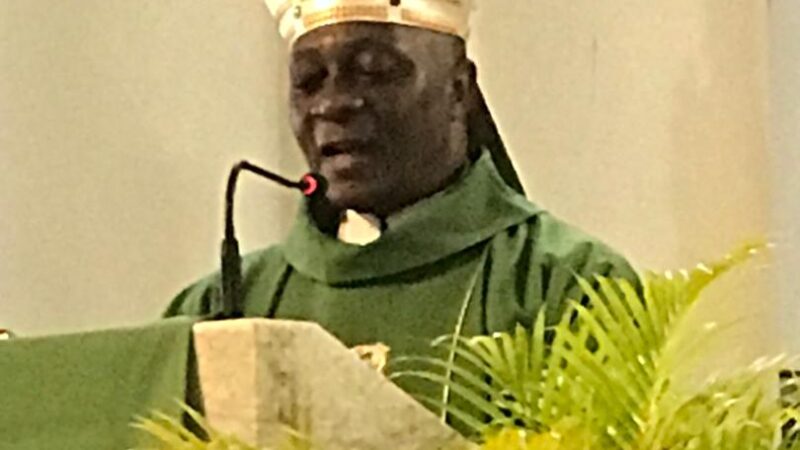 Archbishop Martins Calls for Stronger Environmental Protection, Condemns Pollution