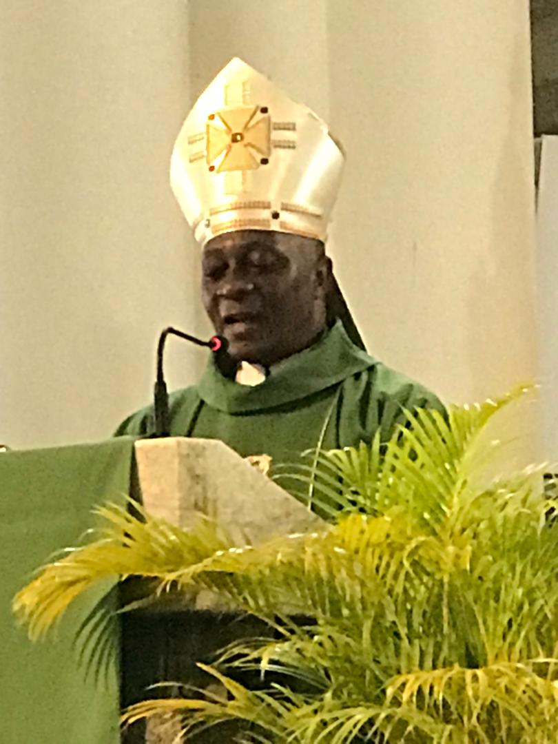 Archbishop Martins Calls for Stronger Environmental Protection, Condemns Pollution