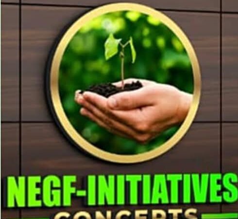 Nigerian Economic Growth Forum (NEGF-Initiatives Concepts) Set to Host 9th Anniversary, Lecture and Awards-2026.
