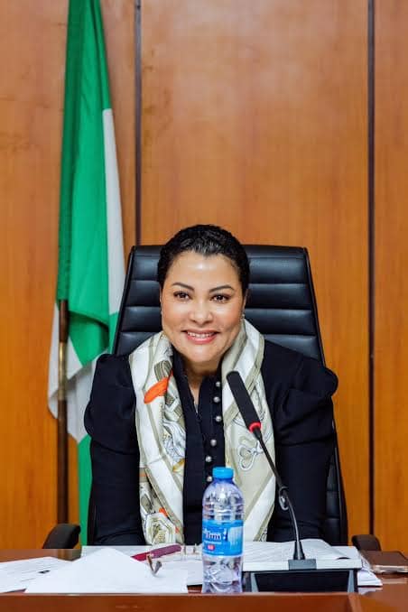 Nigeria Targets 18.7% Revenue-to-GDP Ratio, Cuts Debt-Service Burden to 21% by 2030 – Uzoka-Anite
