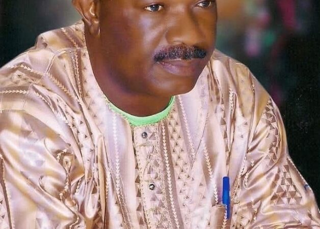 NNPP to Adopt Frontline Presidential Candidate for 2027 – Dr. Aniebonam