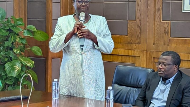 Nigeria Customs, TMPL Validate High-Tech Cargo Scanners in China Ahead of Port Rollout